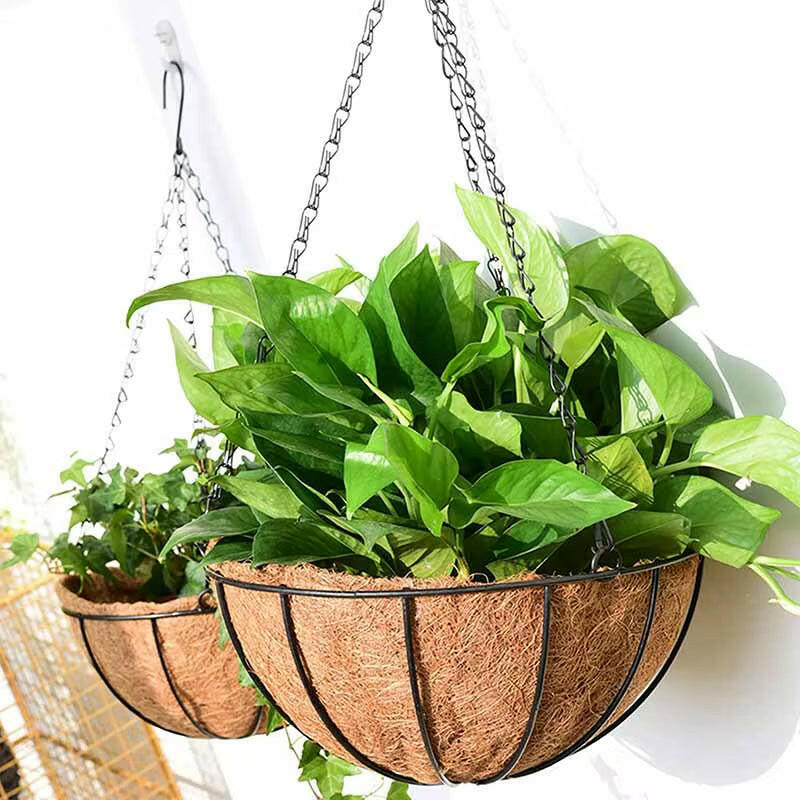 8/10 Inch round Wire Plant Holder Metal Hanging Basket Coconut Liner Lining Plants Flower Garden Pot for Home Balcony Decoration