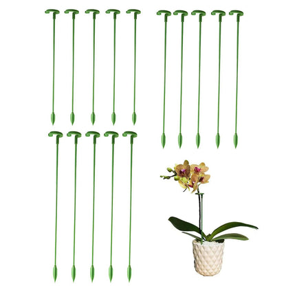 Plant Support Stakes Garden Single Stem Flower Support Stake Amaryllis Plant Cage Support Plastic Flower Stand